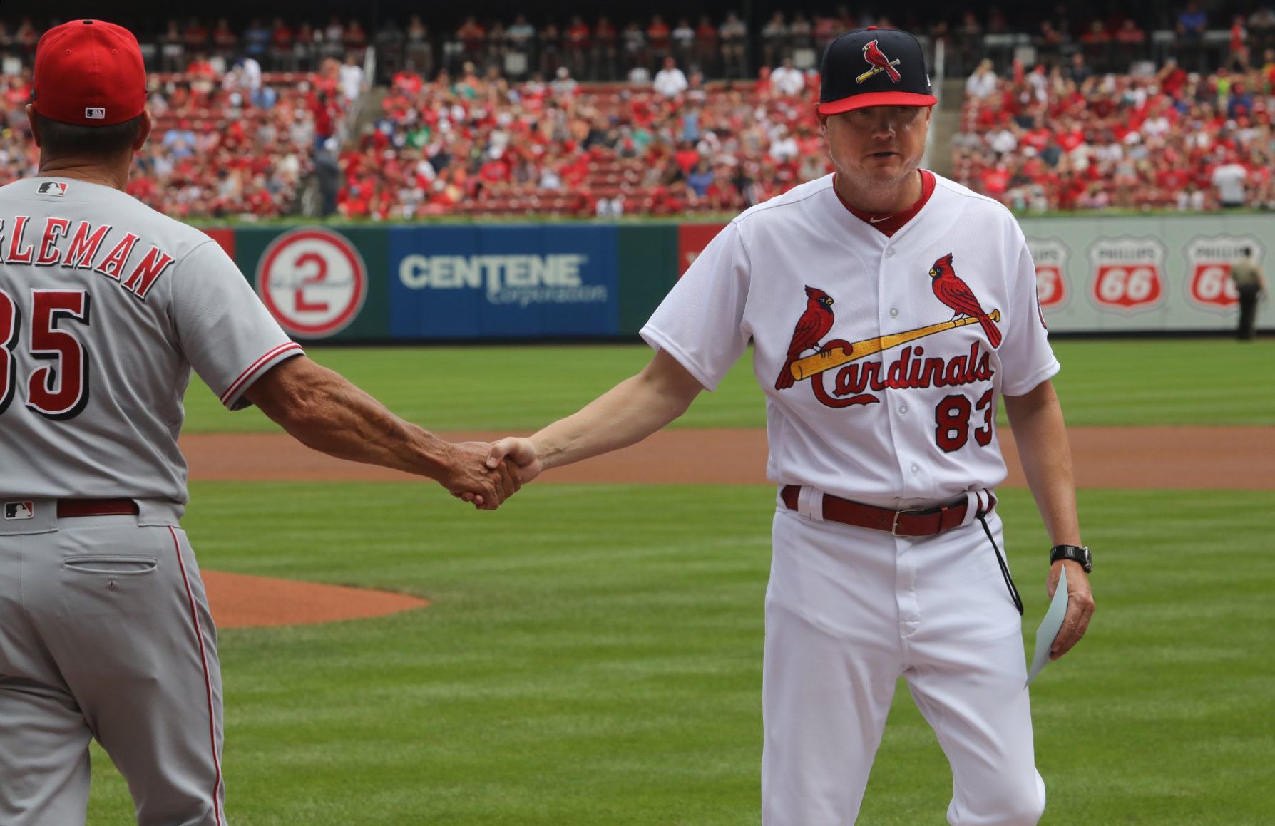 Cards interim coach Mike Shildt takes over